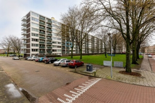 Ierlandstraat