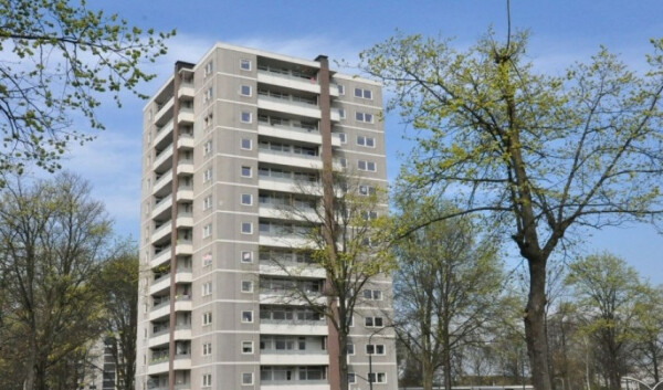 Ierlandstraat