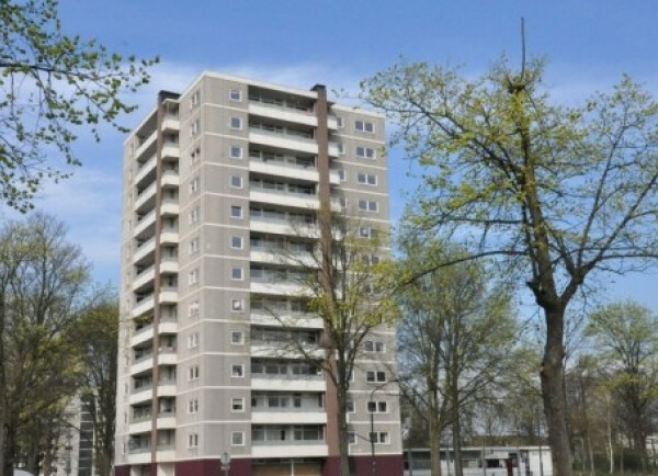 Ierlandstraat
